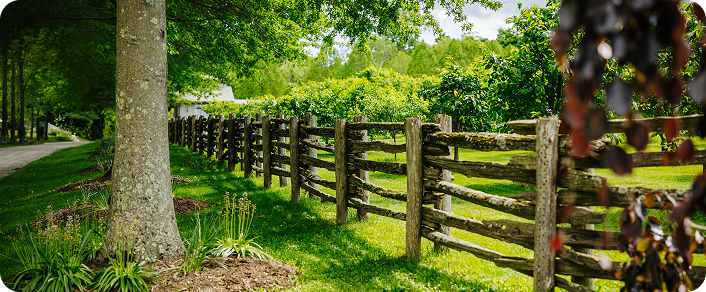 Home renovation and outdoor project inspiration